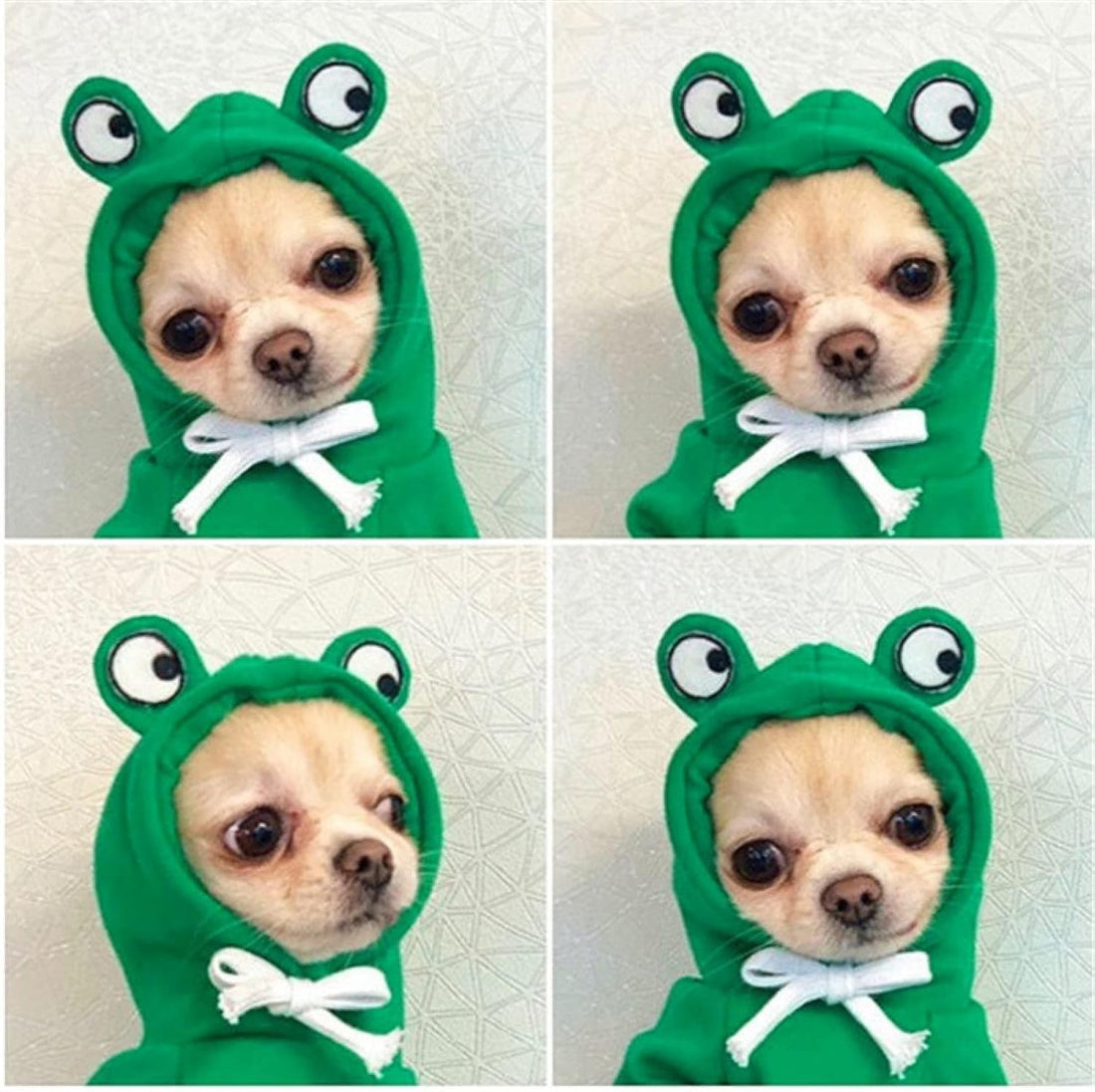 Warm Dog Winter Coat – Fruit Hoodie Fleece for Small Dogs (Green XS)