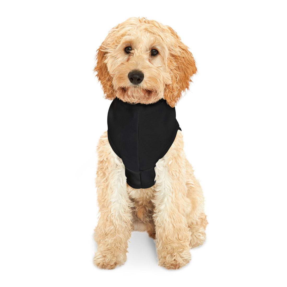 Bad and Boo jee Halloween Pet Hoodie | Cozy &amp; Trendy Hoodie for Spooky Pets