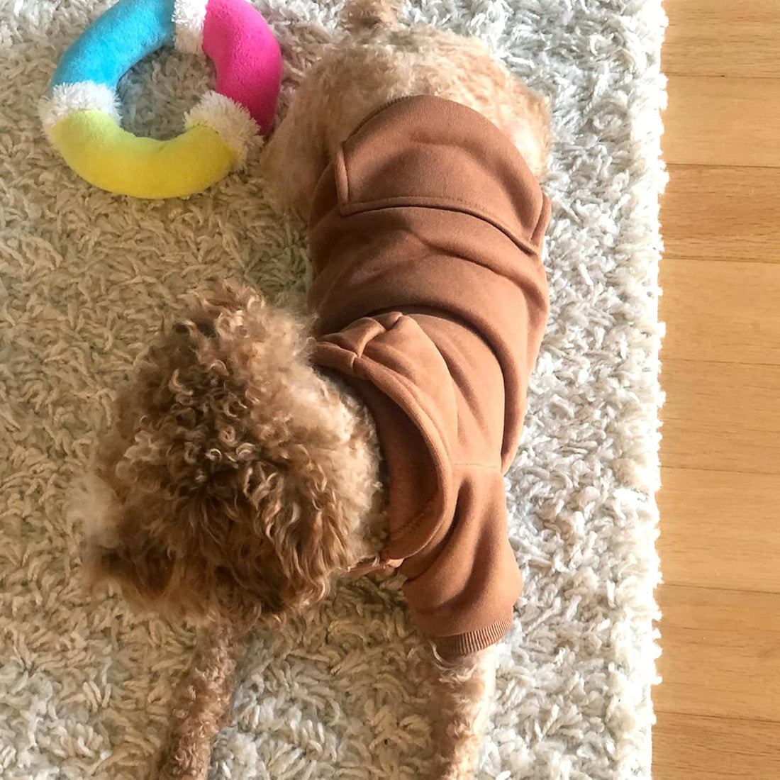 Winter Dog Hoodie with Pockets – Warm Coat for Small Dogs (Coffee XS)