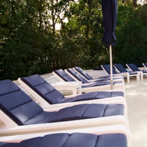 deck chaise cushion.webp